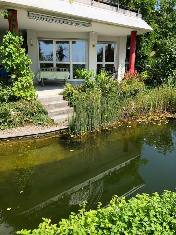 Apartment Green Elephant Tettnang Exteriör bild